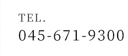 0456719300